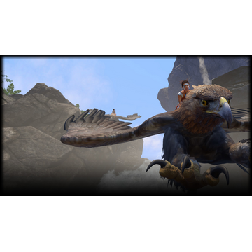 griffin (Profile Background)