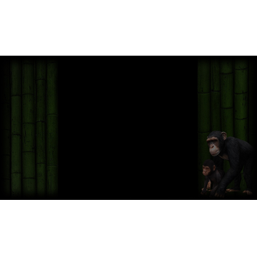 Chimpanzee  - Mother and Child