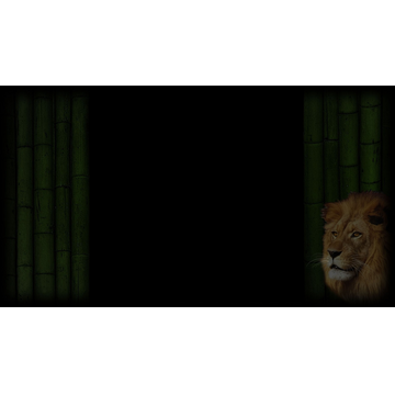The Animal King (Profile Background)