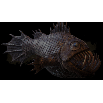 Black Leviathan (Profile Background)