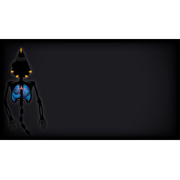 Chainer (Profile Background)