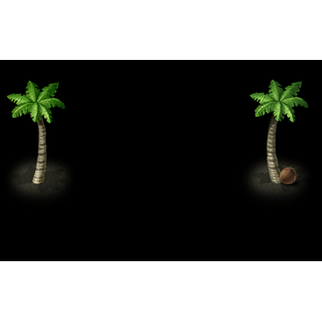 Palmtrees