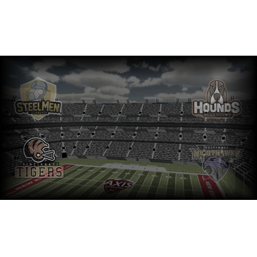 American Conference North Division