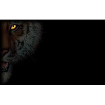 "Wildlife-Park-Tiger" (Profile Background)