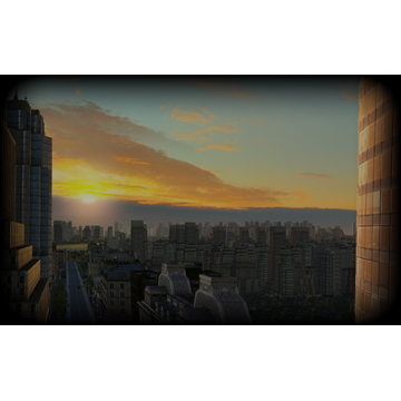 View from the office