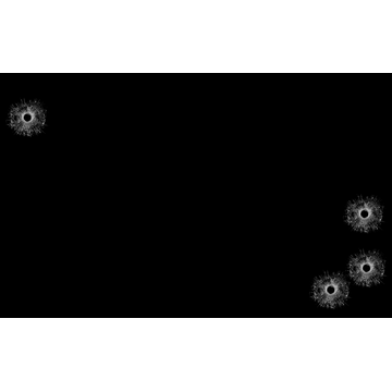 Bullet Holes