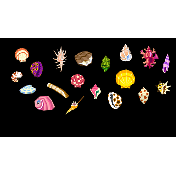 Seashells