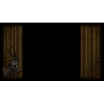 Tiny Thompson Gazelle