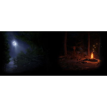 The Forest (Profile Background)