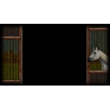 The Proud Andalusian (Profile Background)