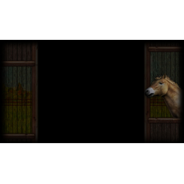 Przewalski - The Asian Wild Horse