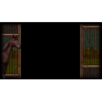 The Hanoverian - the Predominant Warm-Blooded