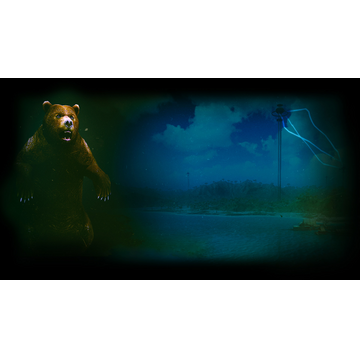Radiation Island Bear