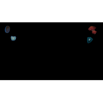 Shields and Mushrooms