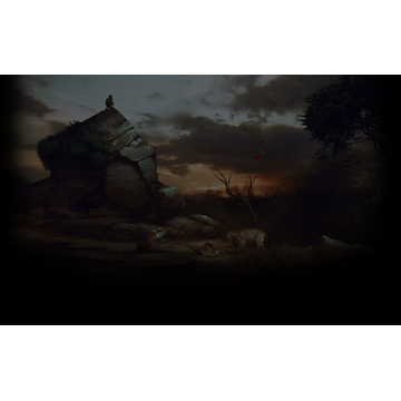 Wildlife (Profile Background)