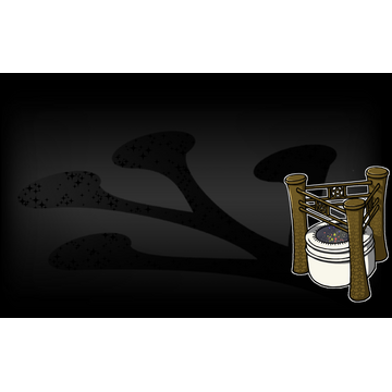 The Starseeing Basin of Kyoto