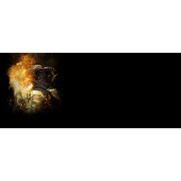 Ramskull (Profile Background)