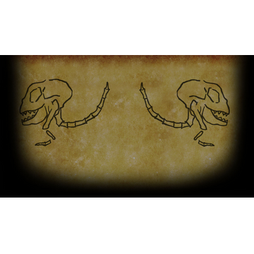 Skeleton (Profile Background)