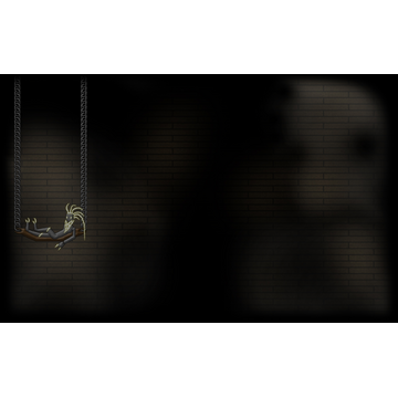 Trader Tim (Profile Background)