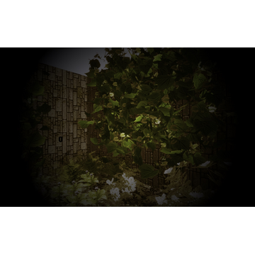 Mysterious garden