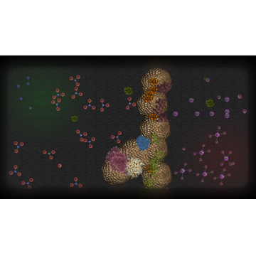 Tidepool - You vs the world