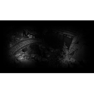 Erwin in the middle ages