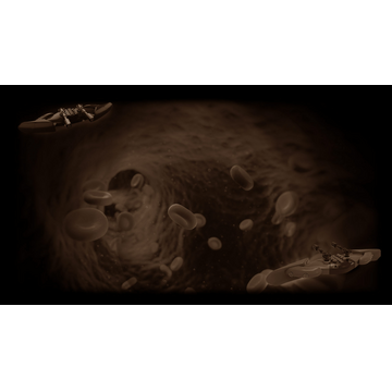 NANOS Ship #2 (Profile Background)