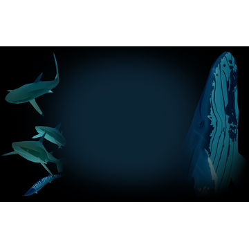 Whale Background