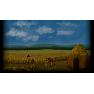 Harvest (Profile Background)