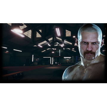 Oleksandr Usyk Profile Background