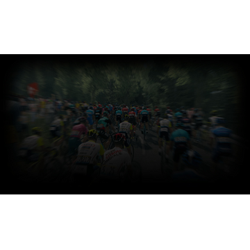 Forest (Profile Background)