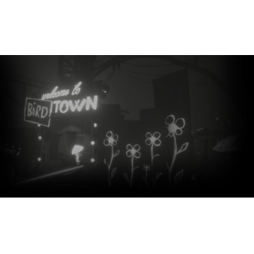 Welcome To Bird Town