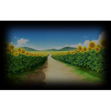 Sunflower Background