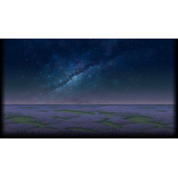 Lavender Field - Night