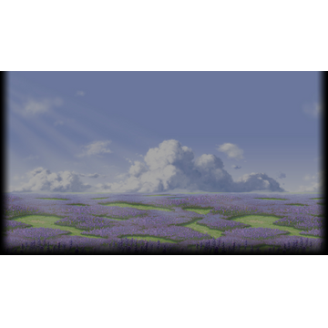 Lavender Field - Day