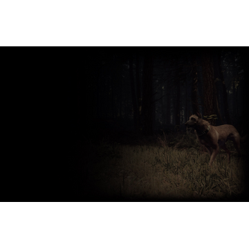 Bullet (Profile Background)