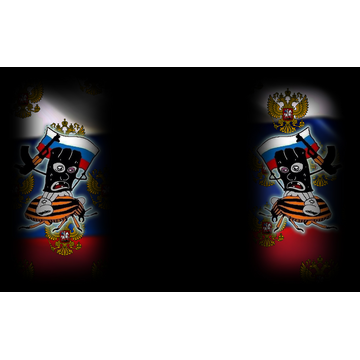 Beetle Rider (Profile Background)