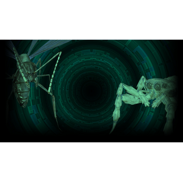 EDF5 Profile Background -ENEMY03