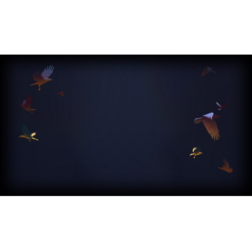 Birds Background