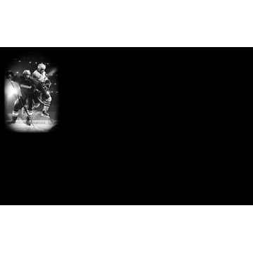 Hockey Manager 20|20 - Fight