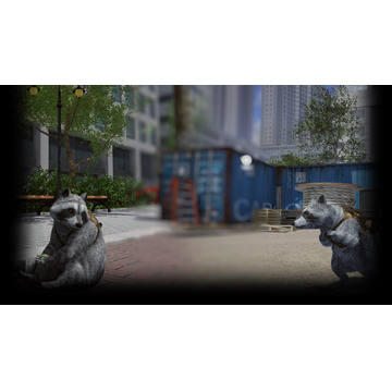 Raccoon in the city