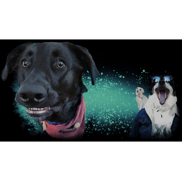 The Ascendance of Gorby