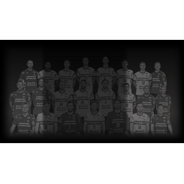 SG Flensburg-Handewitt