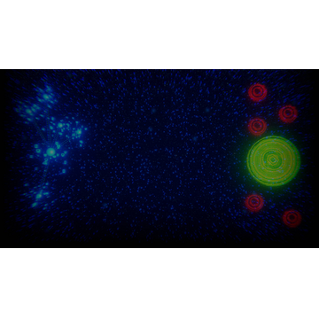 The jungle of devices