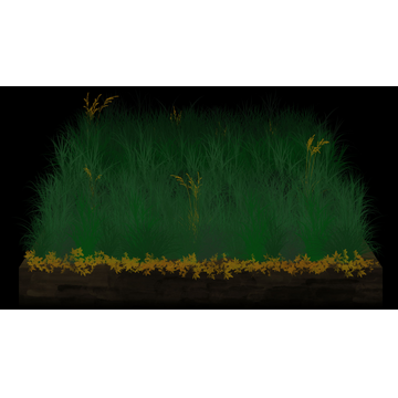 A Patch of Grass