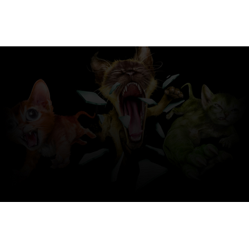 Kitten'd coming through!