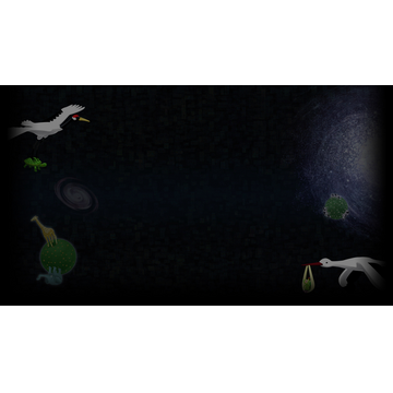 Look into the Distant Universe