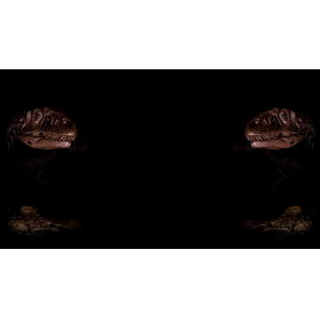 Double Raptor Background