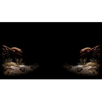 Double Dino Background