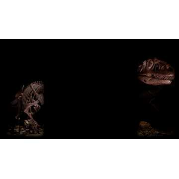 Half Raptor Background